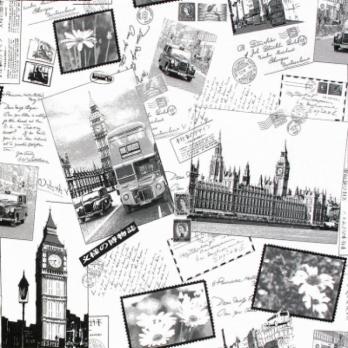 Скотчгард Big-ben A01