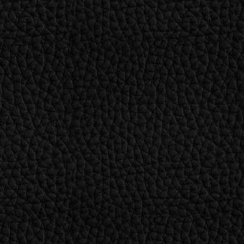 Экокожа Hermes 280 Black