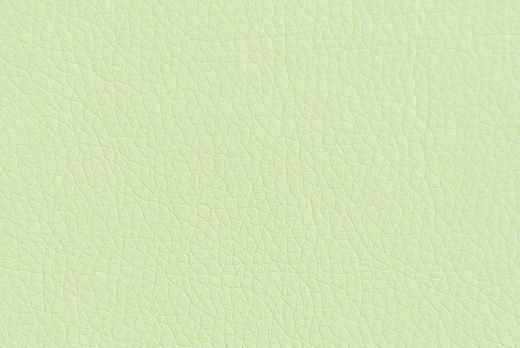 Экокожа Oregon 04