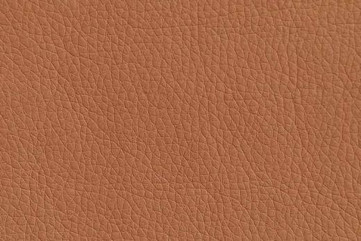 Экокожа Oregon 06