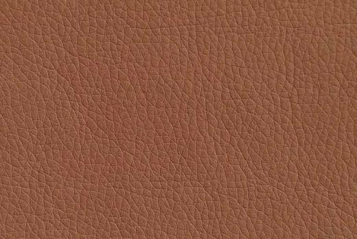 Экокожа Oregon 07