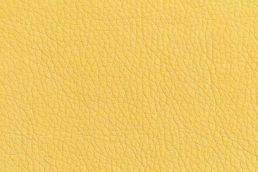 Экокожа Oregon 08